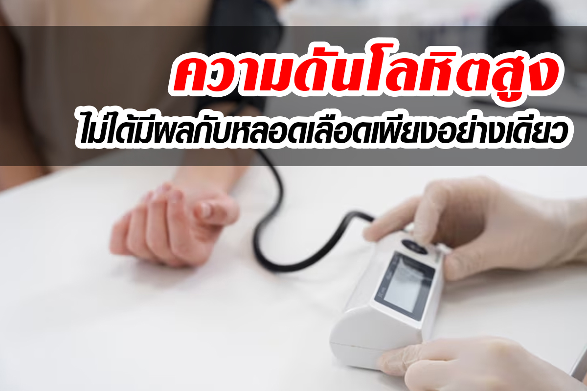 โรคความดันโลหิตสูง_มีผลกระทบกับอวัยวะใดบ้าง โรคความดันโลหิตสูง_มีผลกระทบกับอวัยวะใดบ้าง
