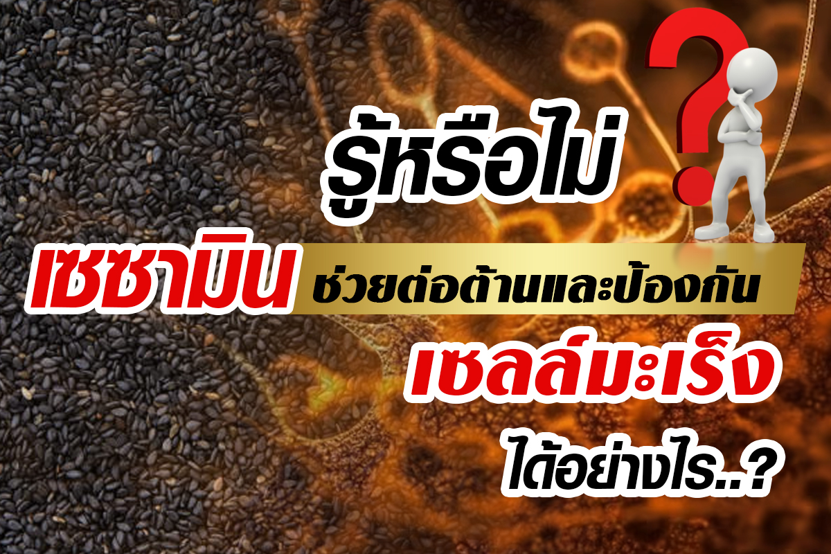 เซซามินในงาดำ_ป้องกันและต่อต้านมะเร็งได้อย่างไร เซซามินในงาดำ_ป้องกันและต่อต้านมะเร็งได้อย่างไร