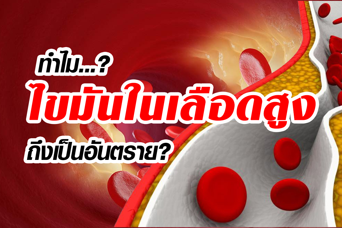 อันตรายจากไขมันในเลือดสูง อันตรายจากไขมันในเลือดสูง